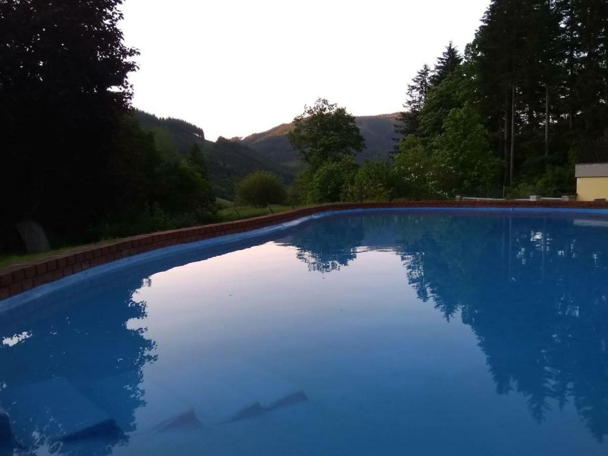 Pool, Pokale, Sauna, Billard, Kirche U. Viel Natur Vordernberg Kültér fotó